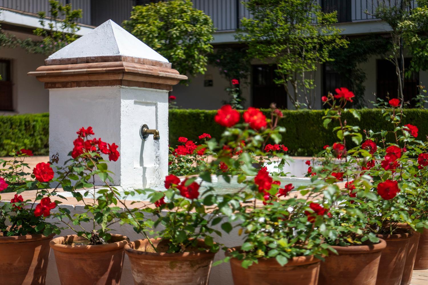 סביליה Magno Apartments San Laureano - Private Parking Included מראה חיצוני תמונה